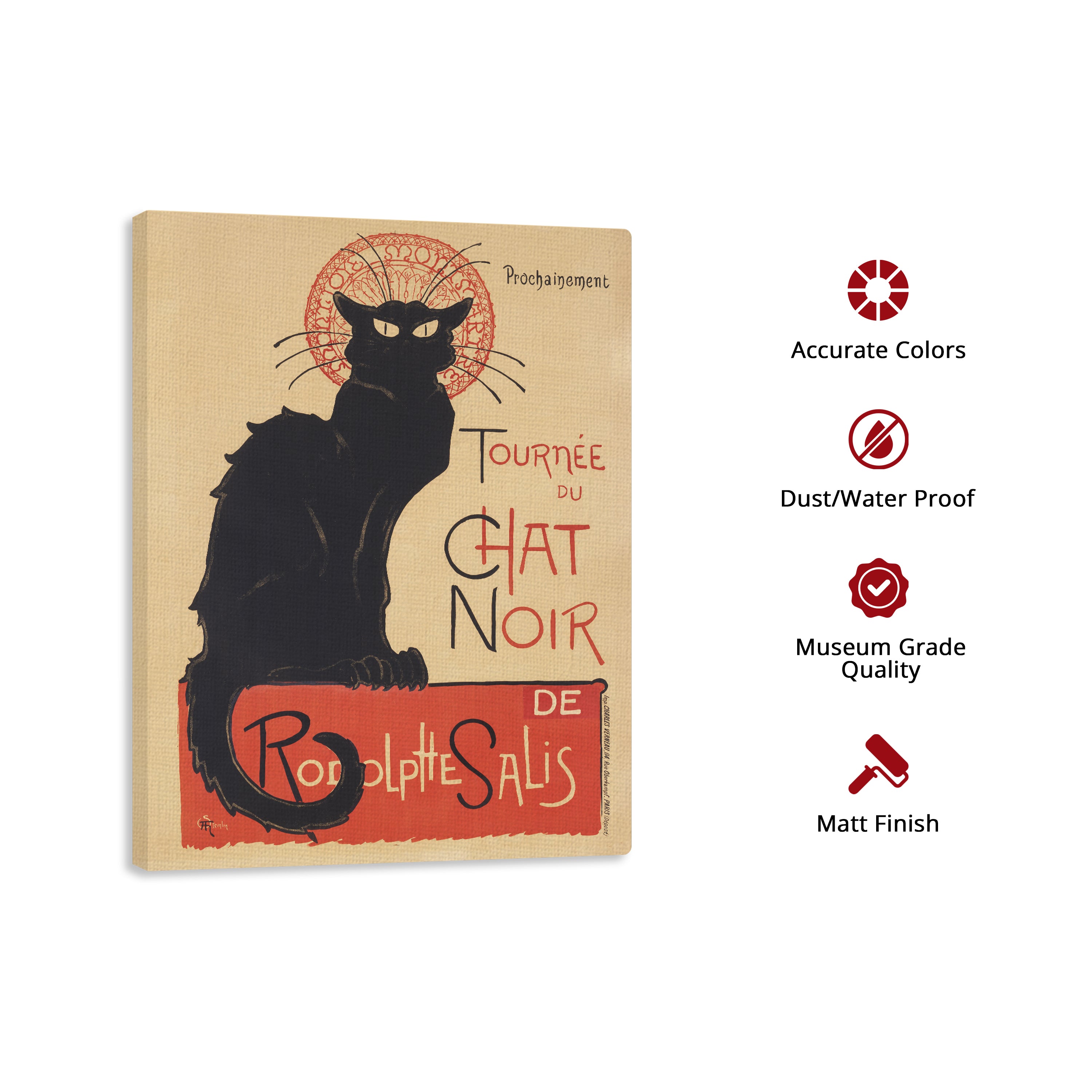 Tournée du Chat Noir