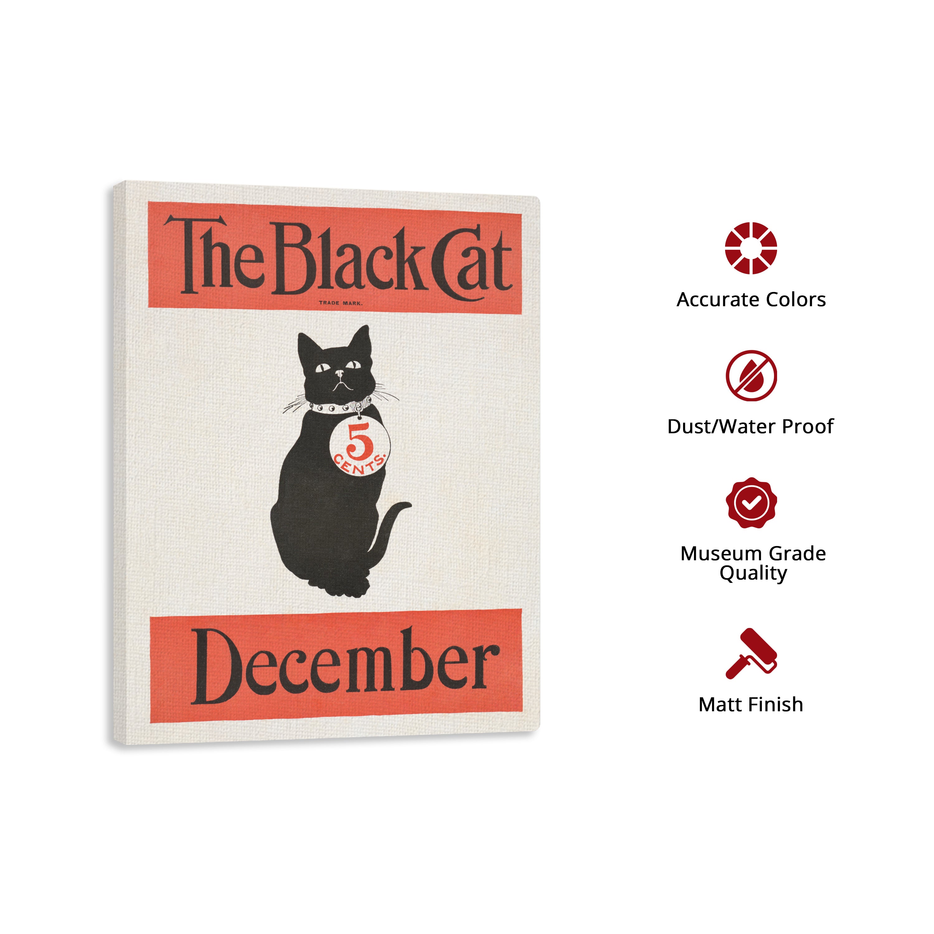 The Black Cat